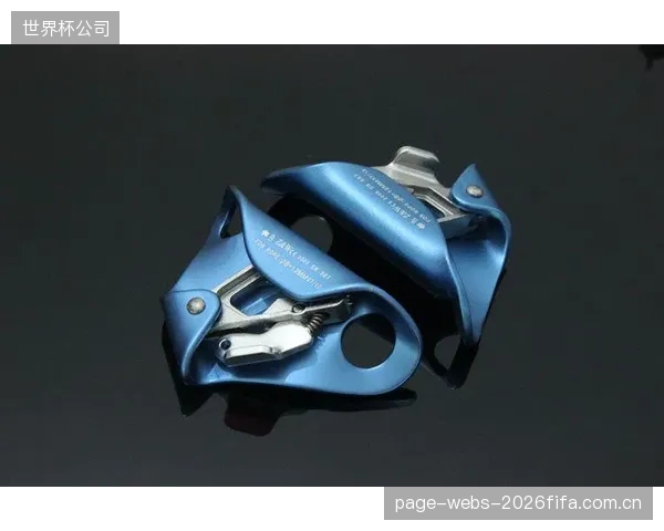 全国范围内，仅有18%的持证攀岩培训机构完成了对防坠器硬件的全面升级，以符合侧向冲击安全建议